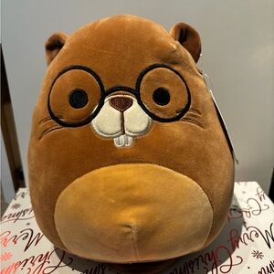 Beaver squishmallow
